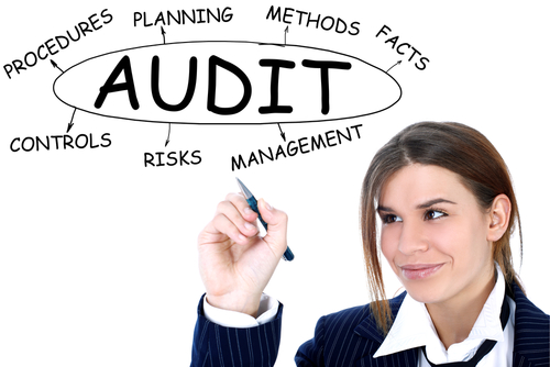 human capital audit